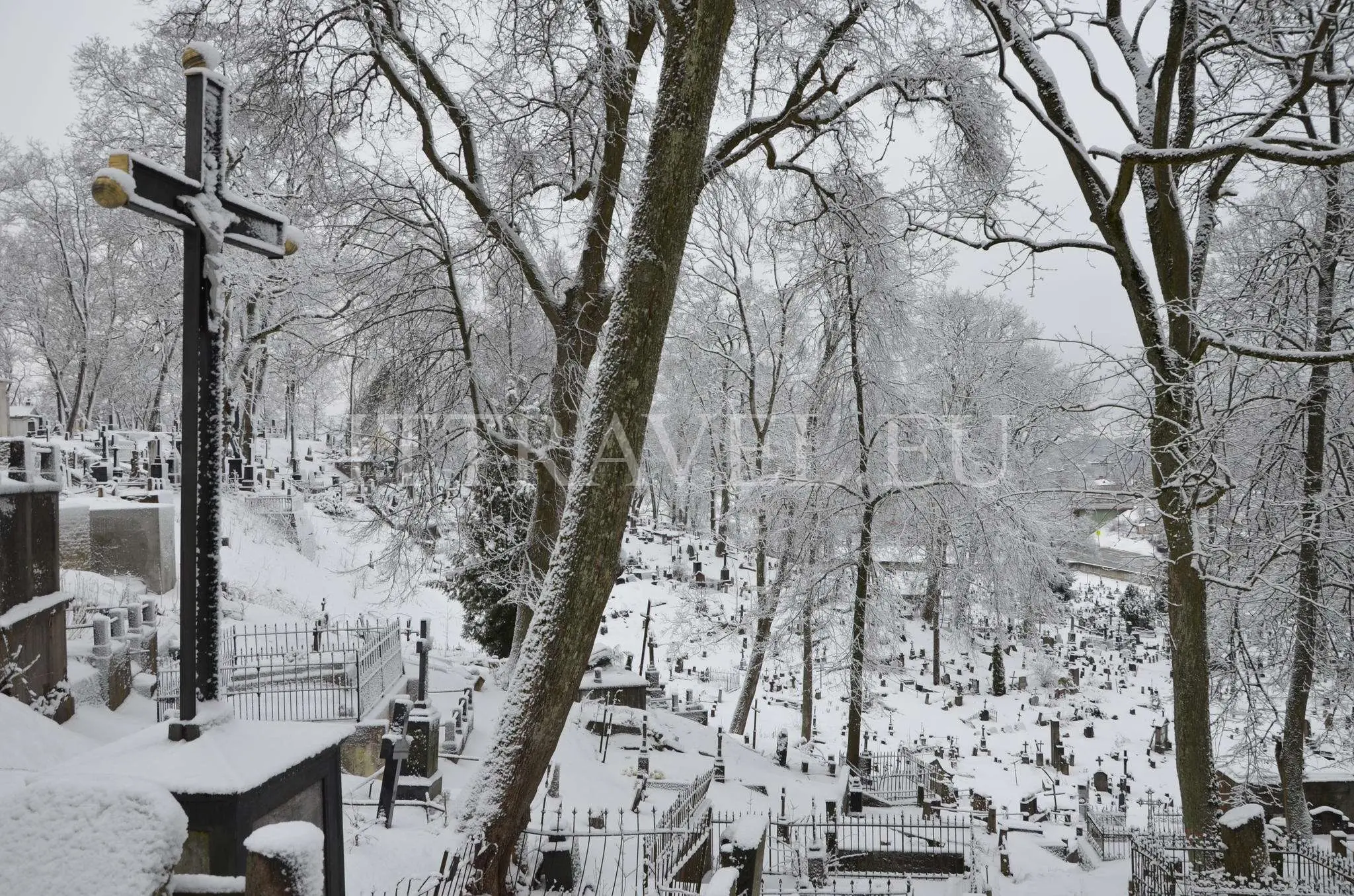 Rasos Cemetery