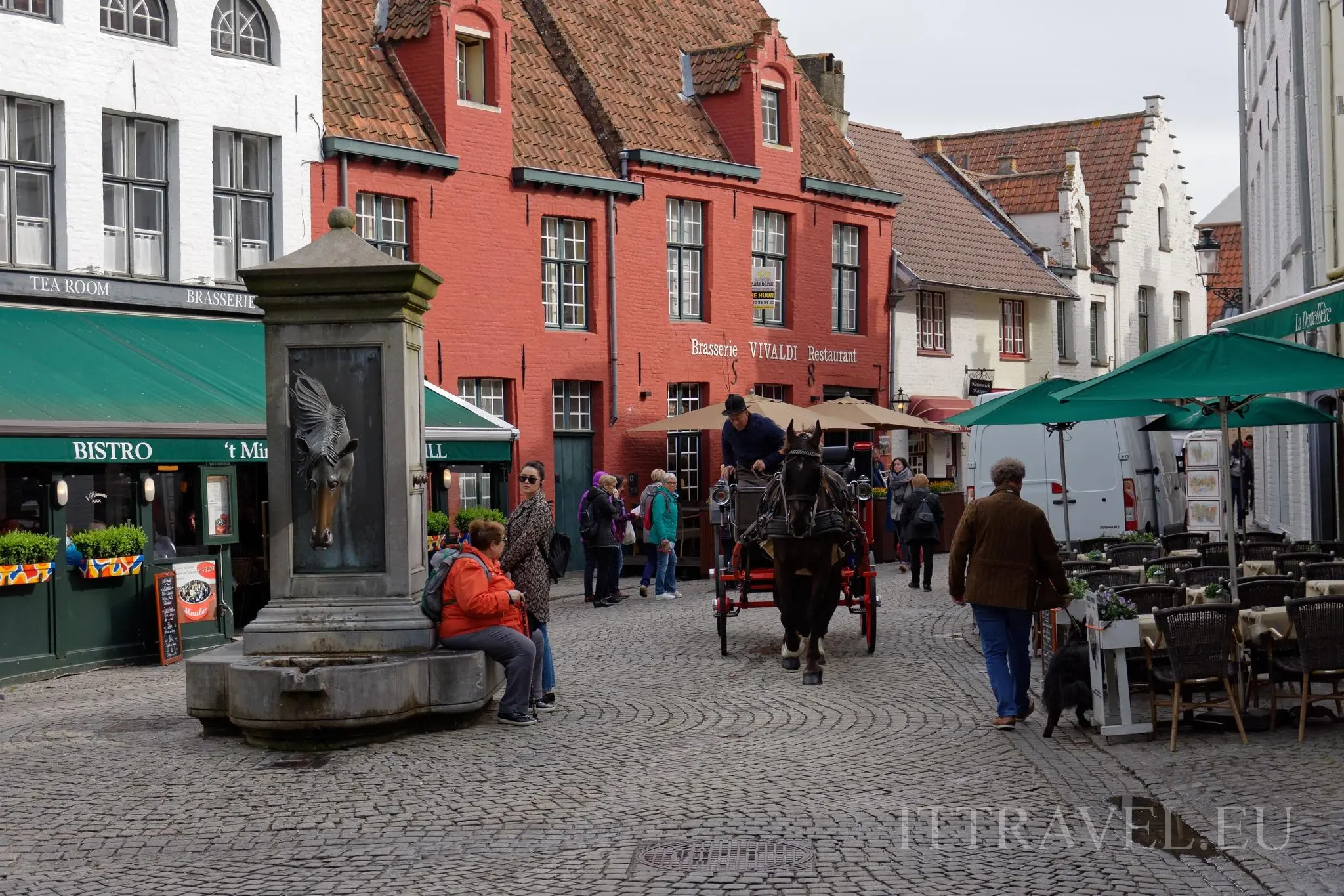 Brugia - Horse Head Drinking Fountain