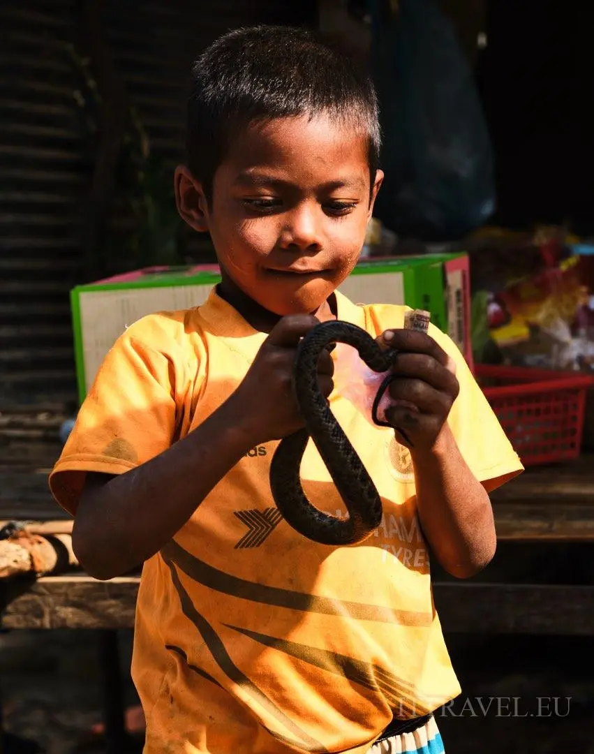 Boy playing with alive snake - he made fun of our fear of it